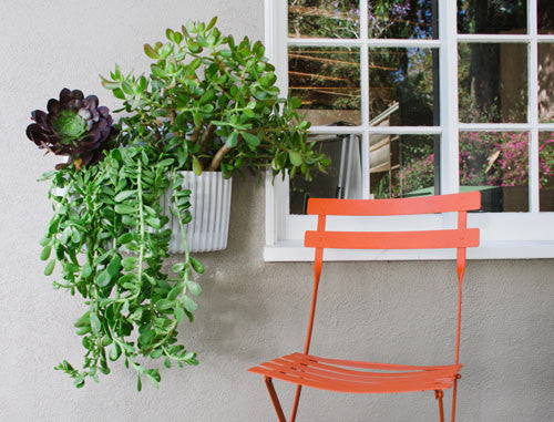 Living Wall Planter